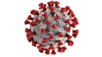 COVID-19 Protocols – Member Responsibility COVID-19 Protocols – Member Responsibility